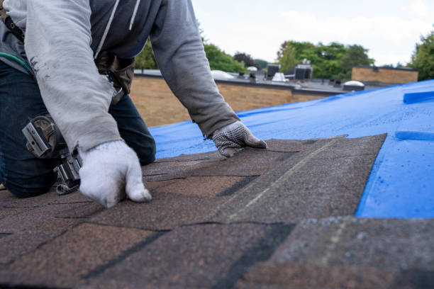 Best Residential Roofing Contractor  in St David, AZ